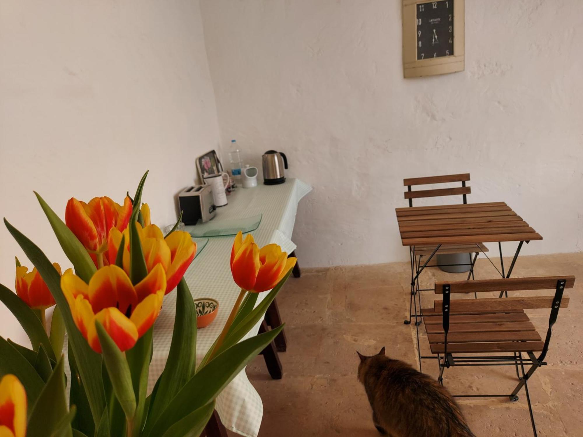 Razzett Warda B&B Għasri Extérieur photo